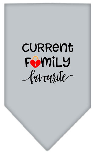 Family Favorite Screen Print Bandana Grey Large